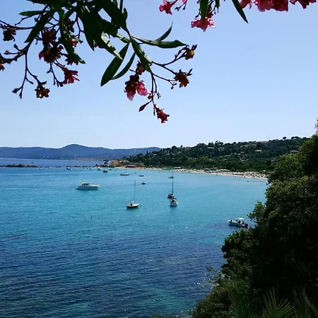 Les Iles D' Or *