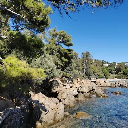 Les Iles D' Or * Bormes-les-Mimosas