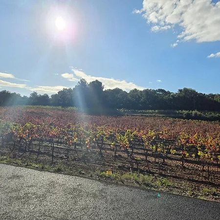 Les Iles D' Or * Bormes-les-Mimosas