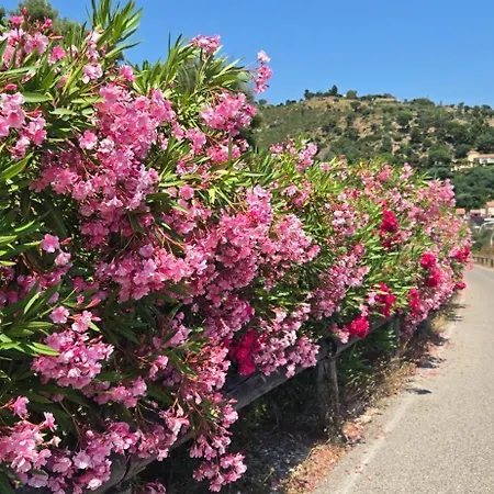 Διαμέρισμα Les Iles D' Or *