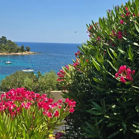 Les Iles D' Or Διαμέρισμα *