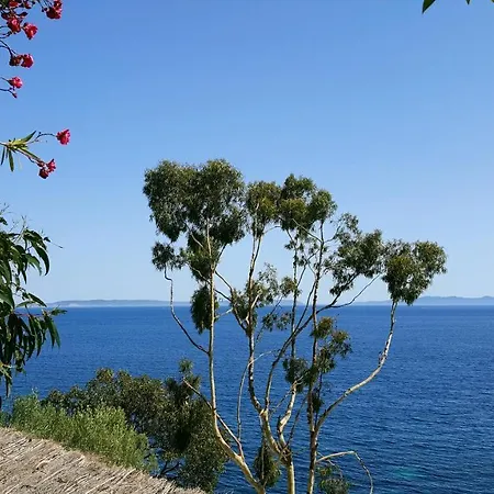Les Iles D' Or Lägenhet