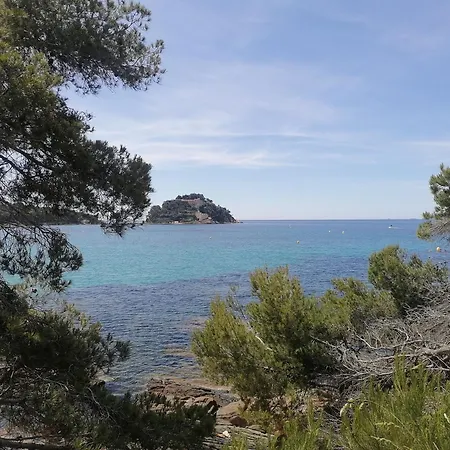 Lejlighed Les Iles D' Or Bormes-les-Mimosas