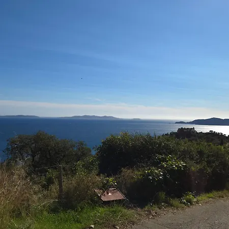Les Iles D' Or Lägenhet