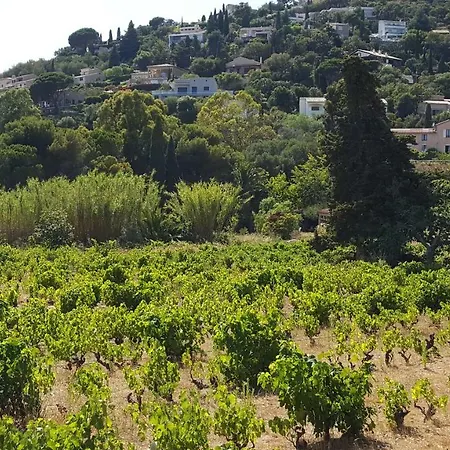 Lägenhet Les Iles D' Or Bormes-les-Mimosas